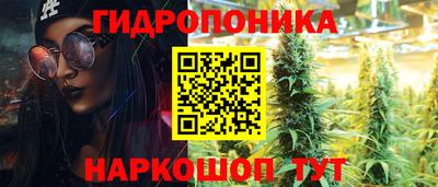 бошки Будённовск
