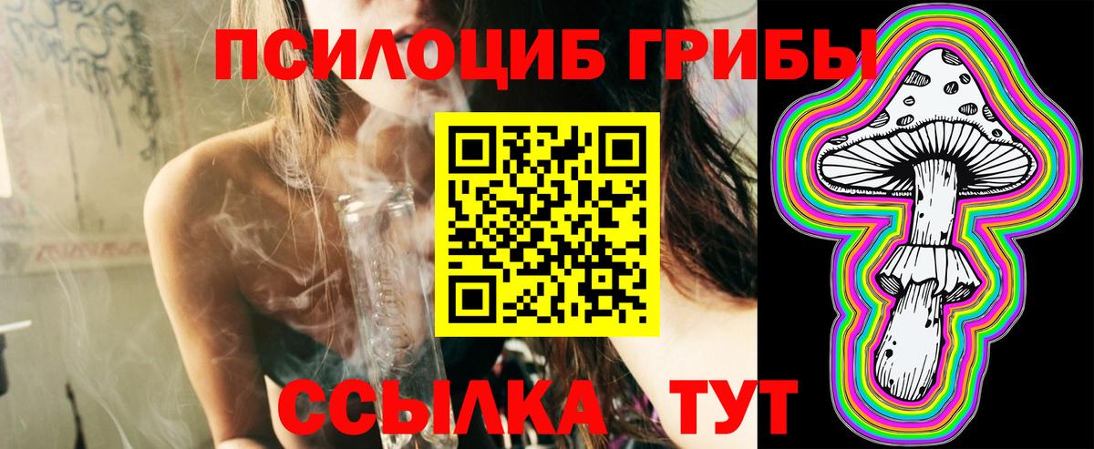 Вологда  Псилоцибиновые грибы мухоморы  Вход с VPN 